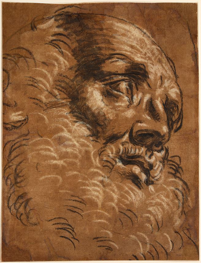 Giacomo CAVEDONE - The Head of a Bearded Man | MasterArt